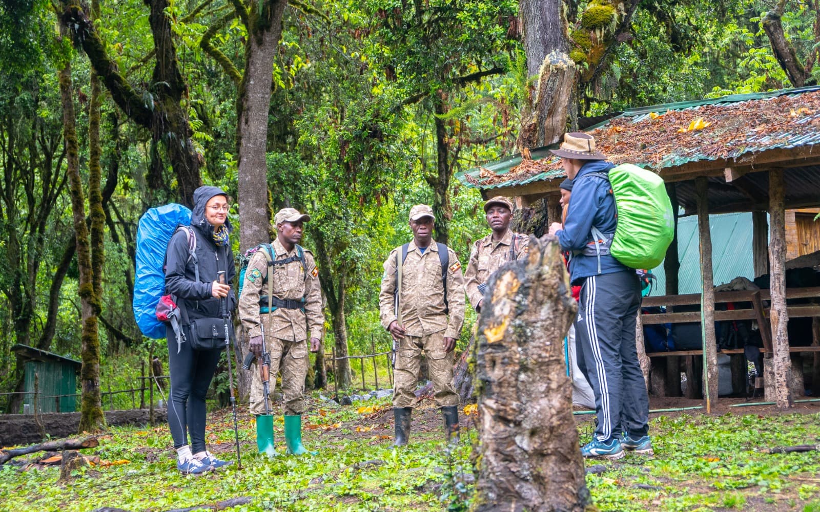 Uganda Wildlife Authority rangers with two hikers at a forest trailhead