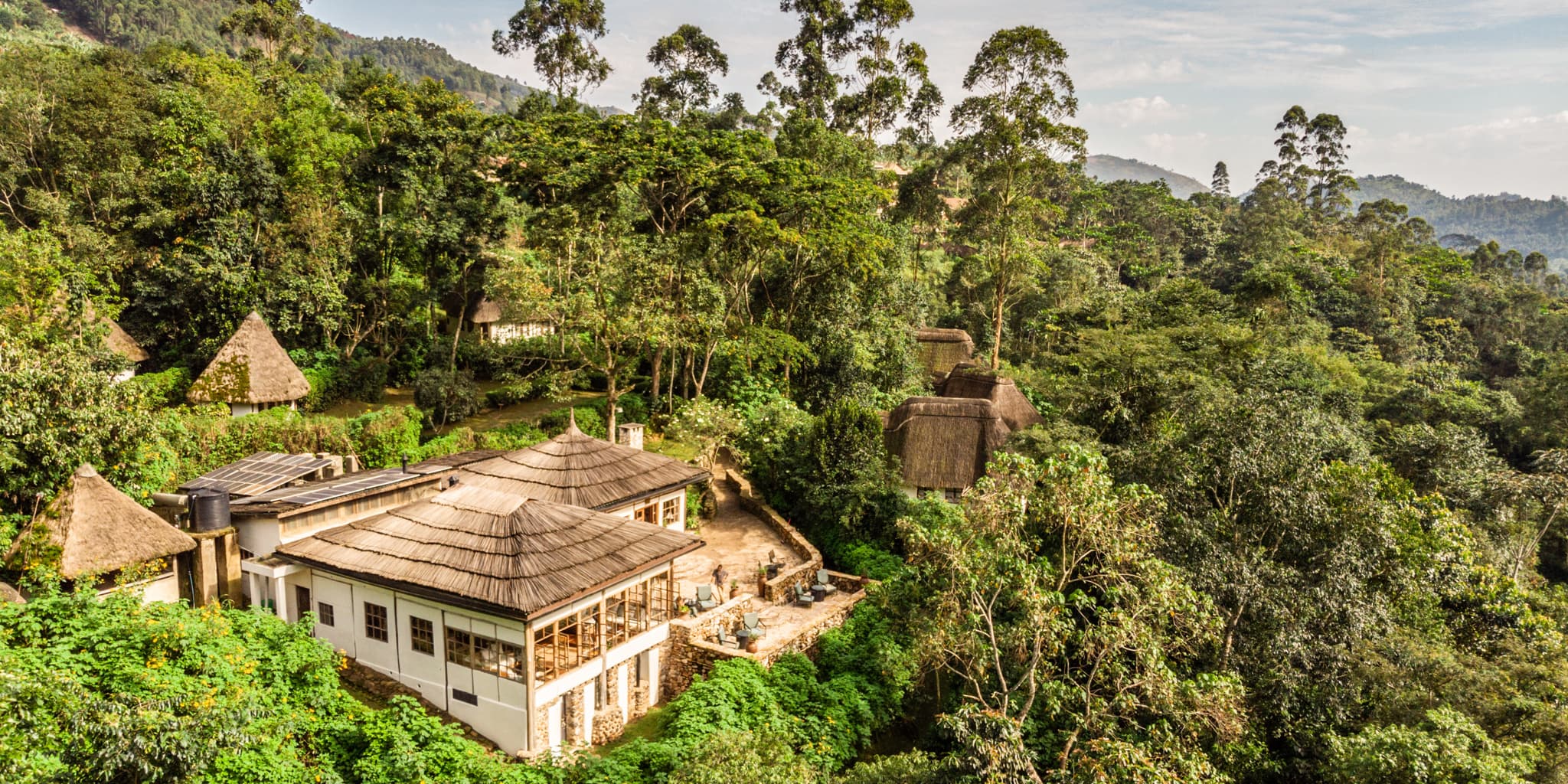 Bwindi Forest Lodge