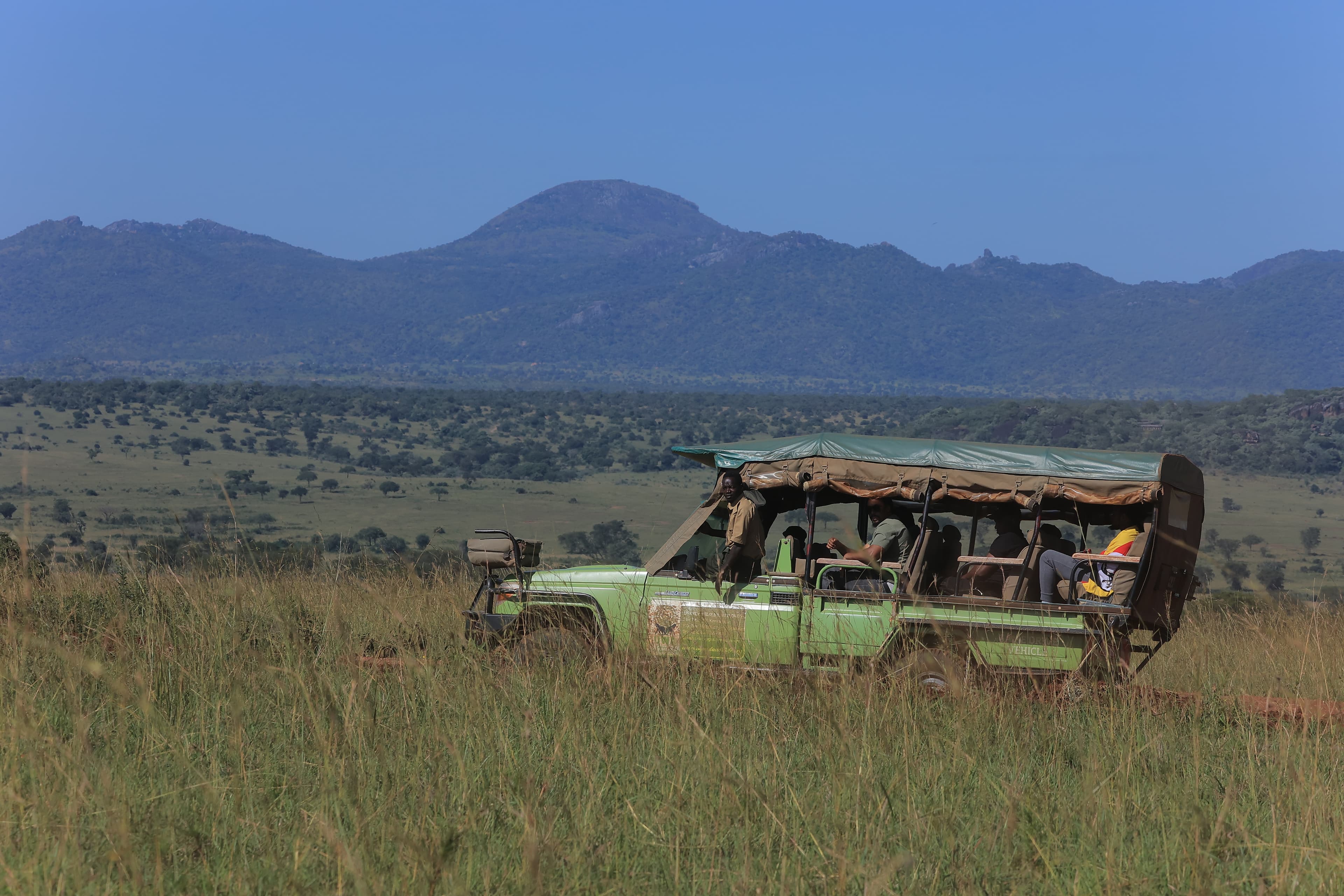 What £1,000 Can Get You in Uganda: Real Safari Costs, Trips & Experiences