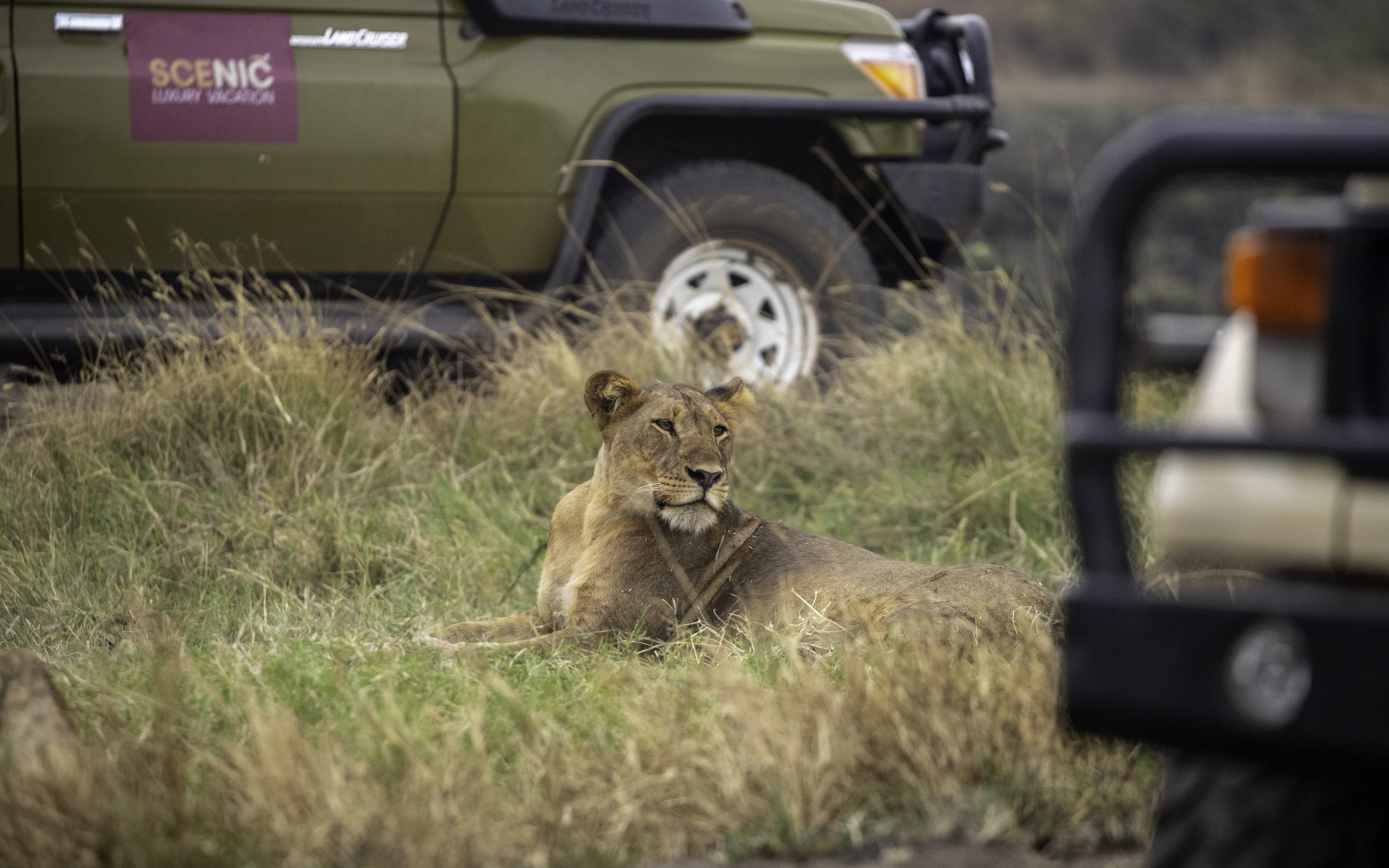 Queen Elizabeth National Park