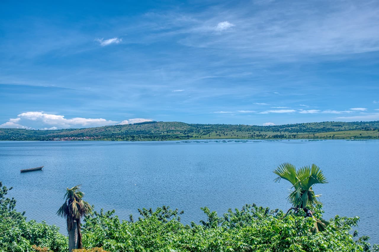 Mabamba Swamp