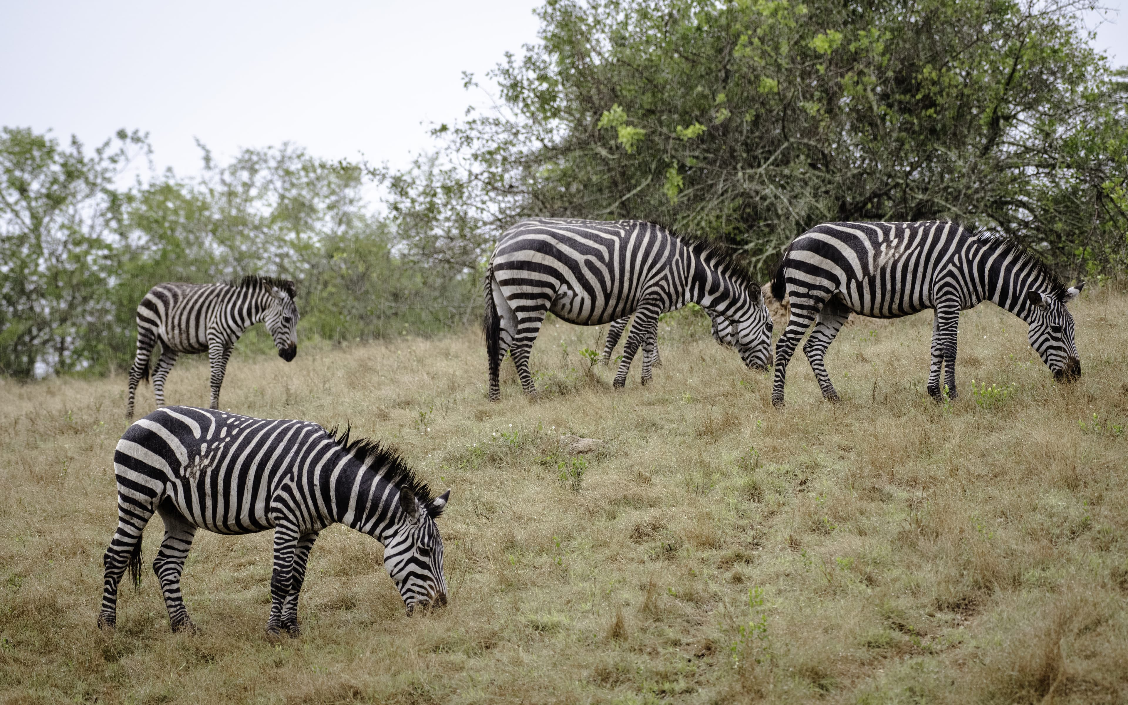 Lake Mburo National Park