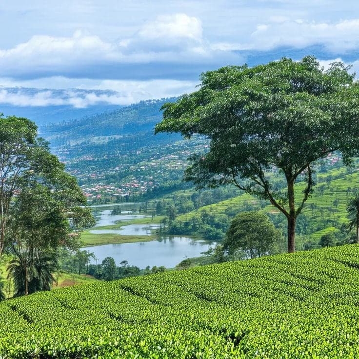 Educational School Trip to Fort Portal and Kasese