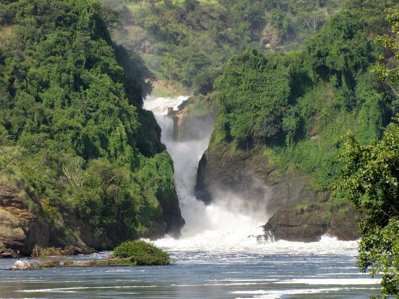 Murchison Falls Safari: Rhinos, Game Drive and the Nile