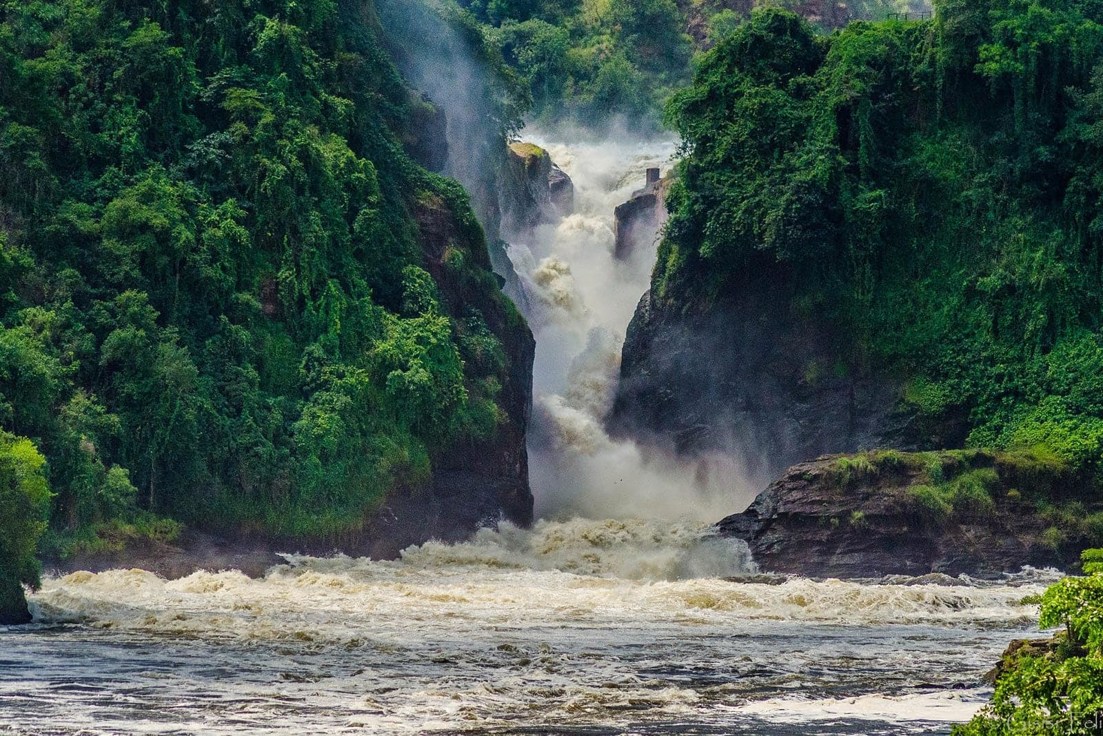 4-Day Murchison Falls Wildlife Safari with Rhino Tracking